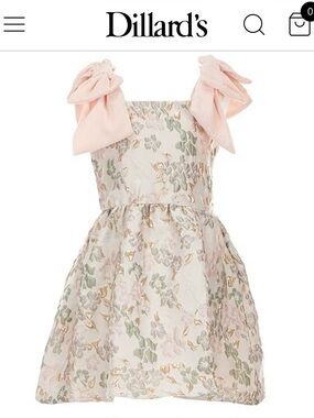 GB Little Girls Baroque Floral Bow Strap  Dress - size 4T with Pale Pink velvet